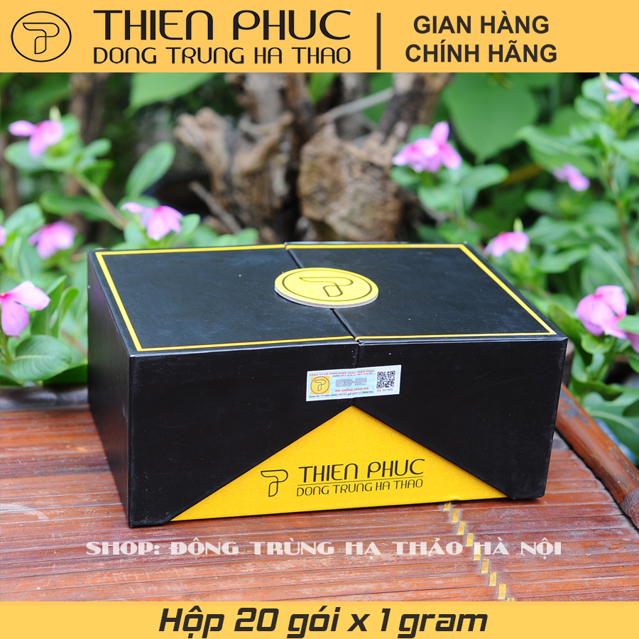Hộp đông trùng hạ thảo sấy khô 20gr Thiên Phúc