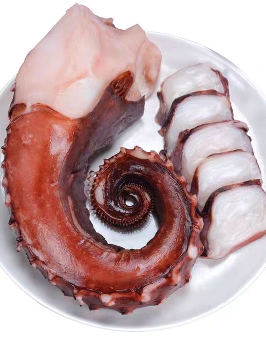 [CBC] Râu Bạch Tuột Khổng Lồ