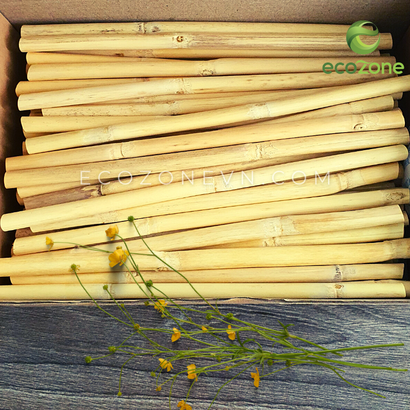 Hộp 100 ống hút cỏ sậy 20cm size M tự nhiên Ecozone hàng xuất khẩu