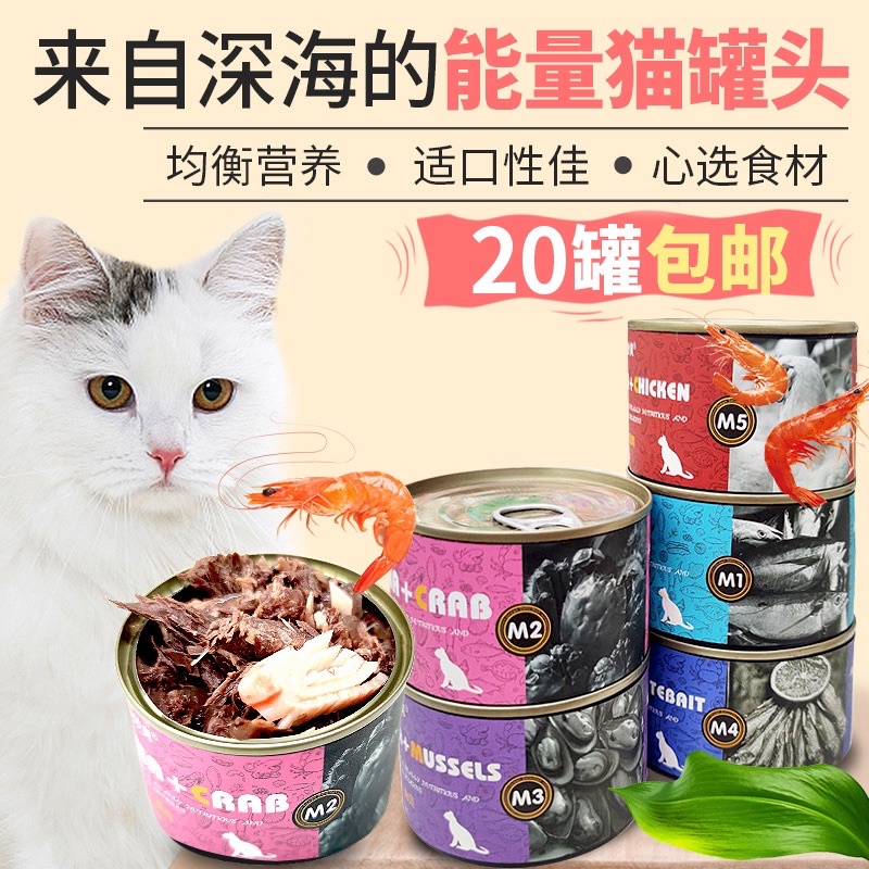 Pate thịt cá cho mèo masti lon 170g
