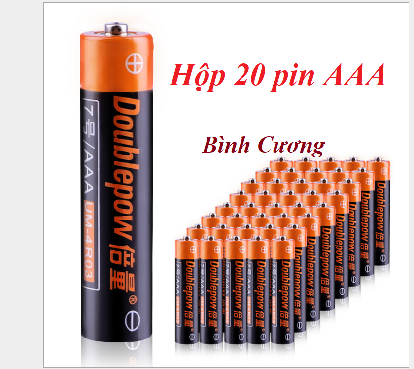 Hộp 20 viên pin đũa Doublepow AAA