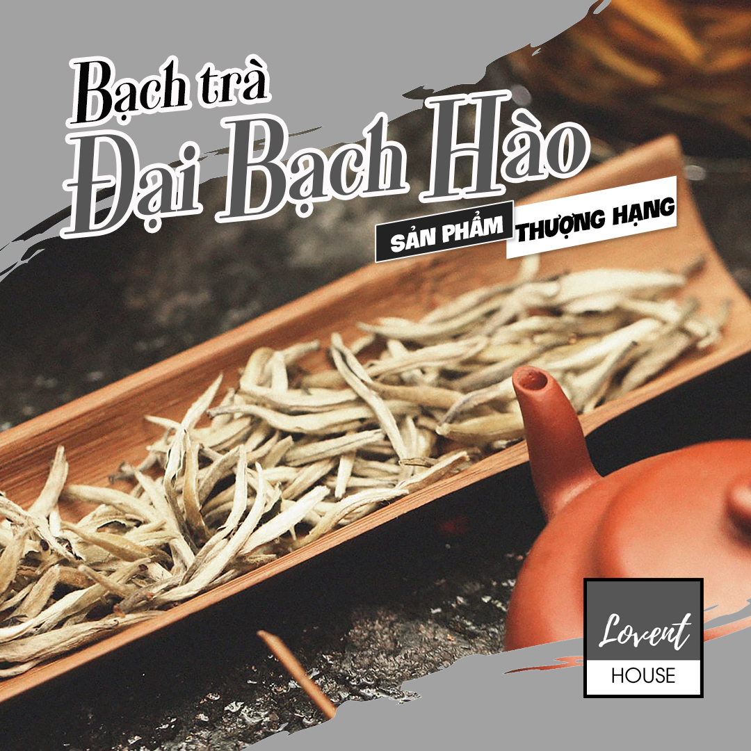Đại Bạch Hào Ngân Châm - trà trắng Vân Nam- thanh hương hậu ngọt sảng khoái [LOVENT HOUSE]