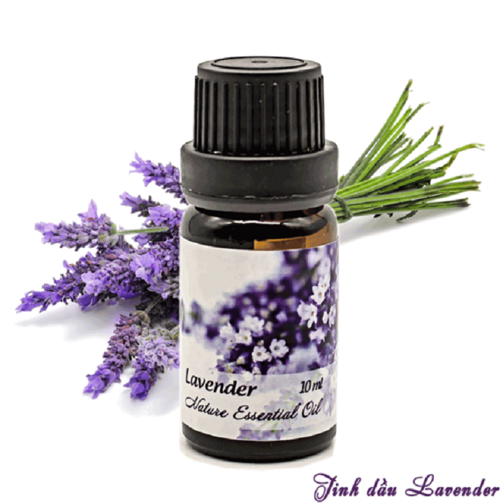 Tinh Dầu Oải Hương Lavender Nguyên Chất Dùng Với Máy Xông Tinh Dầu Giúp Thơm Phòng Ngủ Ngon Giảm Căng Thẳng Mệt Mỏi