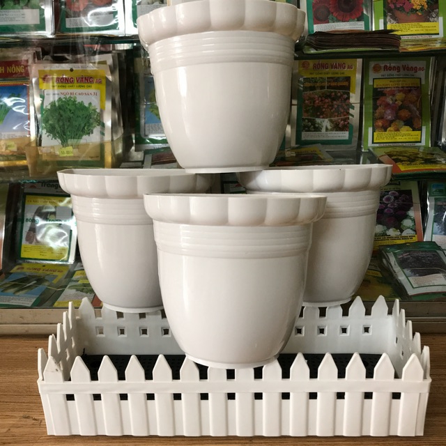 combo 3 Chậu ốp tường
