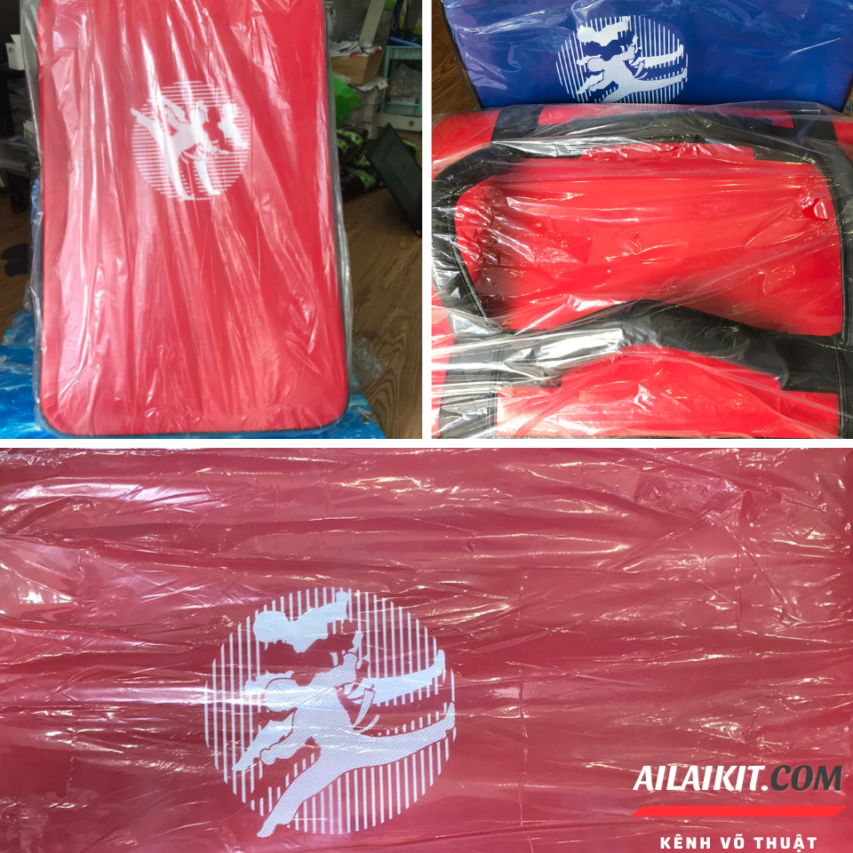 Võ thuật Các loại Vstari ailaikit Vovinam Teakwondo Boxing