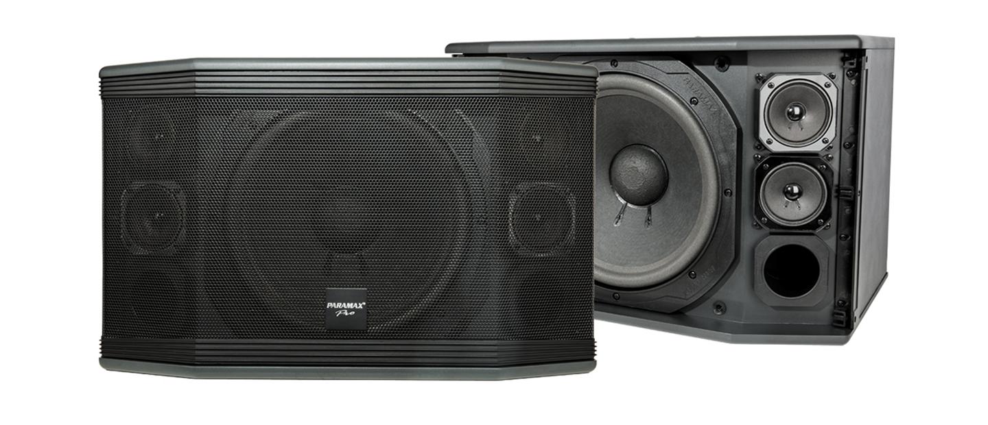 Loa paramax pro-c10
