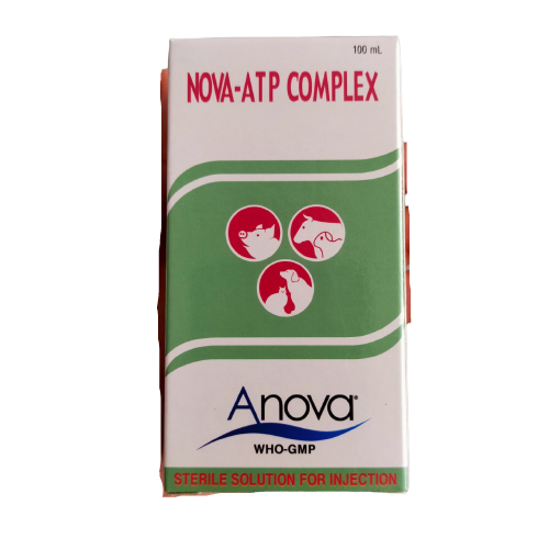 Tăng sức khoẻ , chống bại liệt nova atp complex 100ml