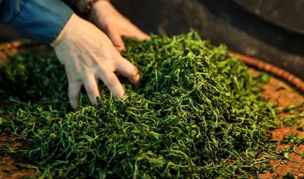 Chè Thái Nguyên loại đặc biệt