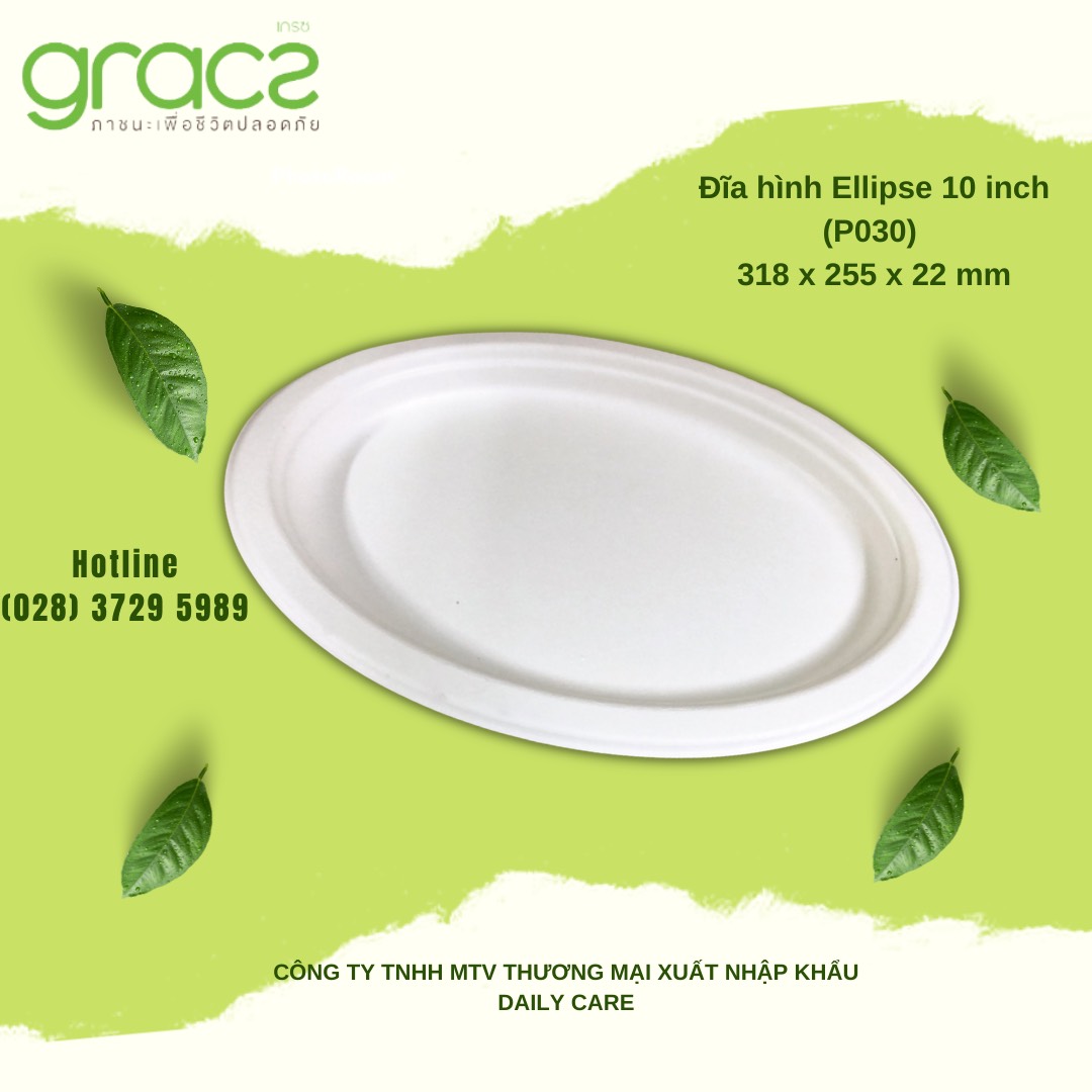 10 Đĩa bã mía Thái Lan hình Ellipse 10 inch