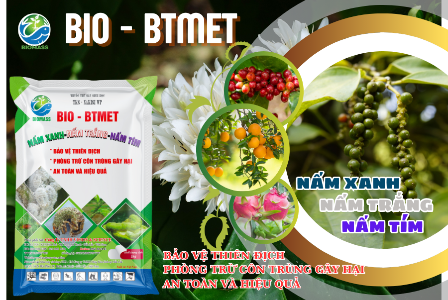 [HCM]BIO - BTMET NẤM 3 MÀU: Vi nấm kí sinh diệt trừ sâu rầy côn trùng Gói 1KG