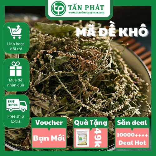 [Hàng mới về] Mã đề sấy khô 1kg - tấn phát - Hàng sạch chất lượng cao giúp thanh nhiệt và giải độc - Hỗ trợ lợi tiểu cực kỳ hiệu quả