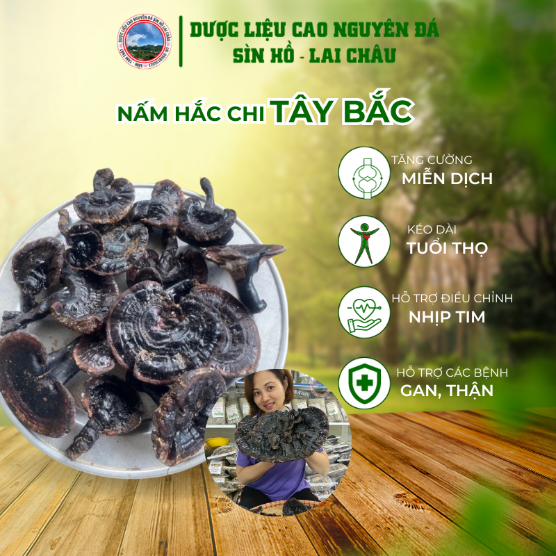 nấm hắc chi nấm linh chi đen nấm hoắc chi hỗ trợ bệnh ung thư, tiểu đường, bệnh gan (100g-300g)