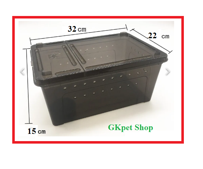 [HCM]Hộp nuôi pet cao cấp nhựa trong(to) giúp pet ko bị stess - thich hợp bò sát thú cưng nhỏ (32*22*15cm)