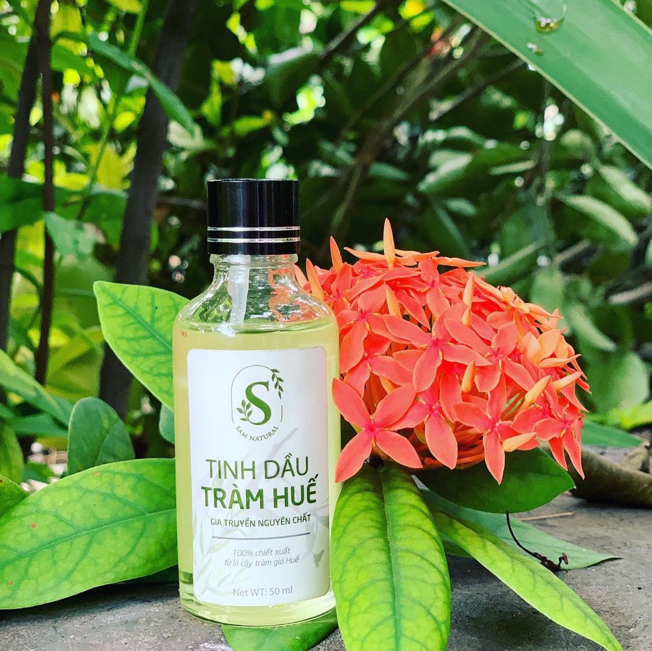 Tinh dầu tràm Huế - Sam Natural
