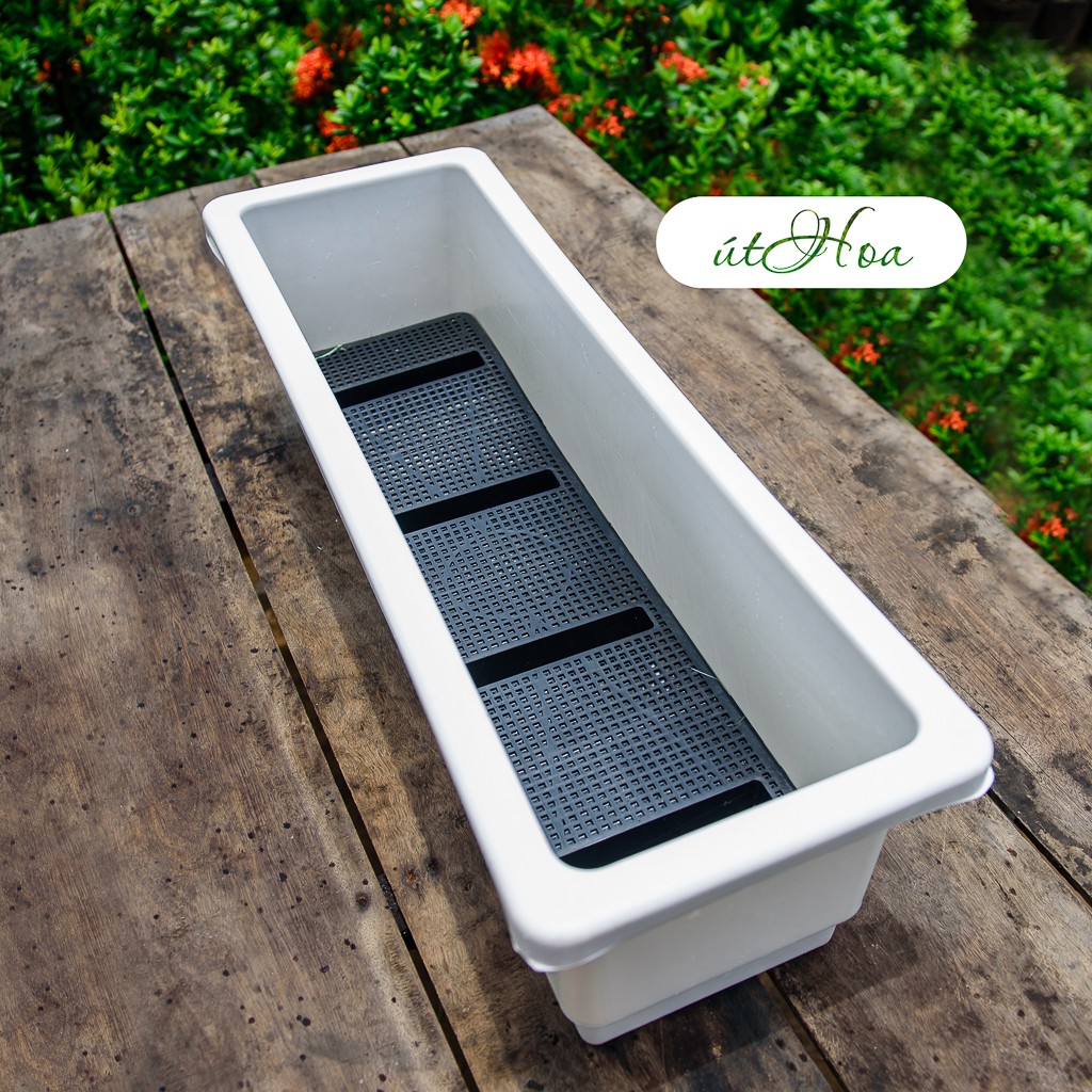 Khay Trồng Rau Chữ Nhật Trắng Đủ Size (Hàng Công Ty)