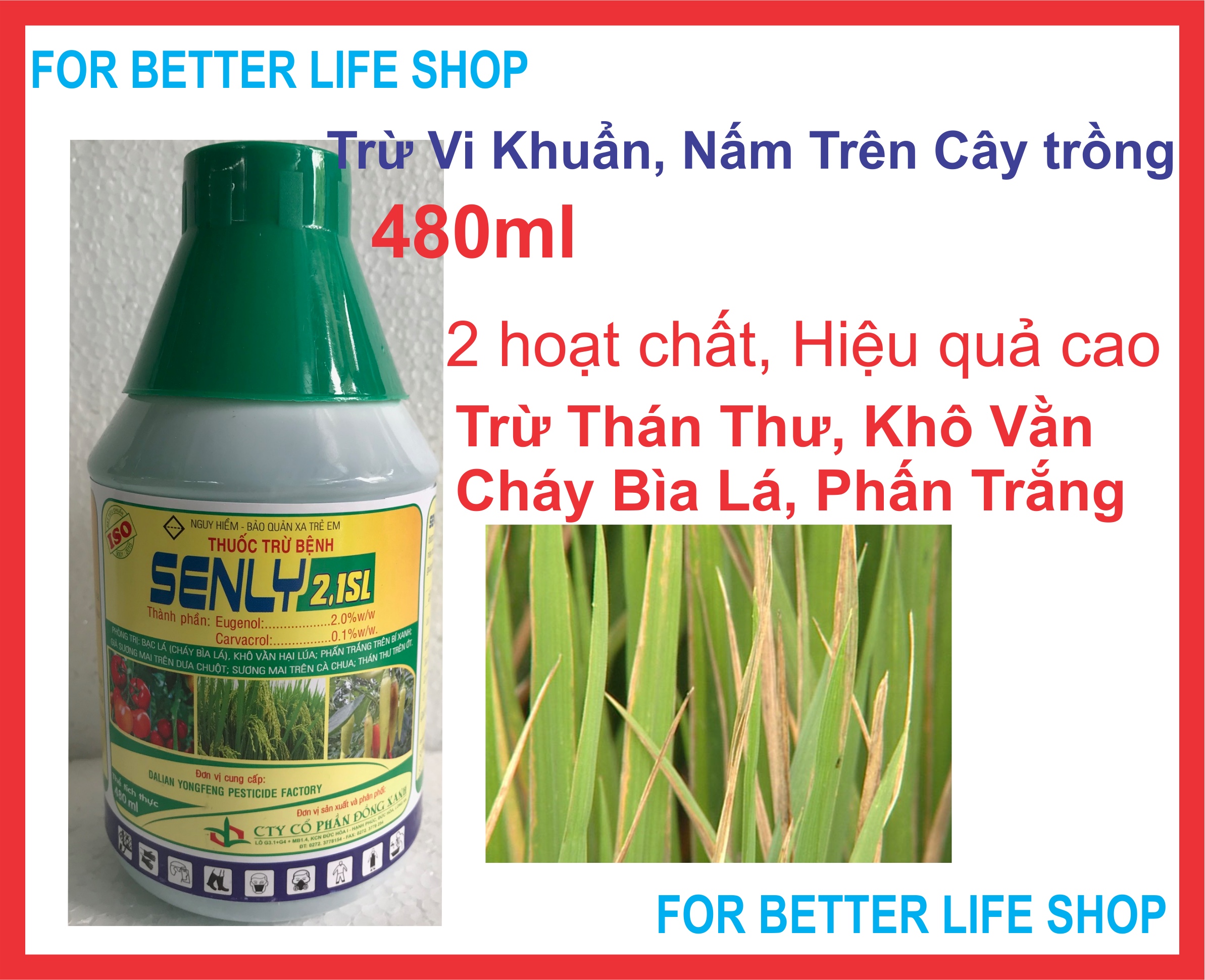 Trừ vi khuẩn, nấm bệnh thán thư ớt, giả sương mai dưa chuột, cà chua senly 2.1sl