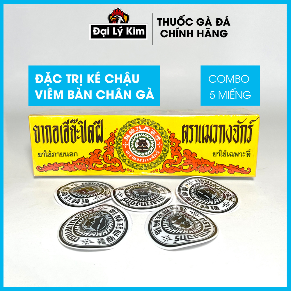 Miếng dán ké chậu gà viêm bàn chân gà 5 miếng nhập khẩu chính hãng Thái Lan + cách tri ké chậu gà miếng dán kén chậu thuoc tri ké gà miếng dán ké chậu