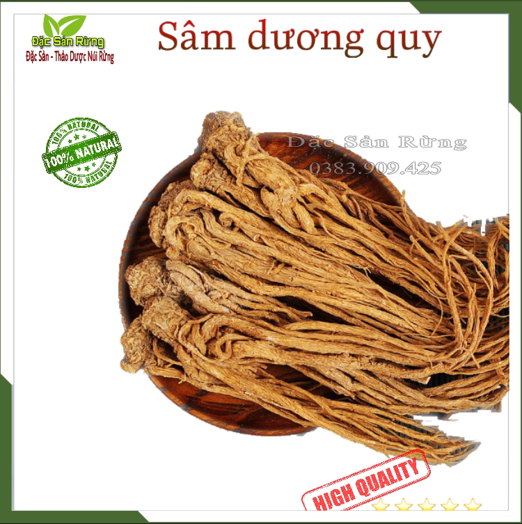 Sâm Đương Quy Nguyên Củ Sấy Khô ( 500g ) - Đặc Sản rừng