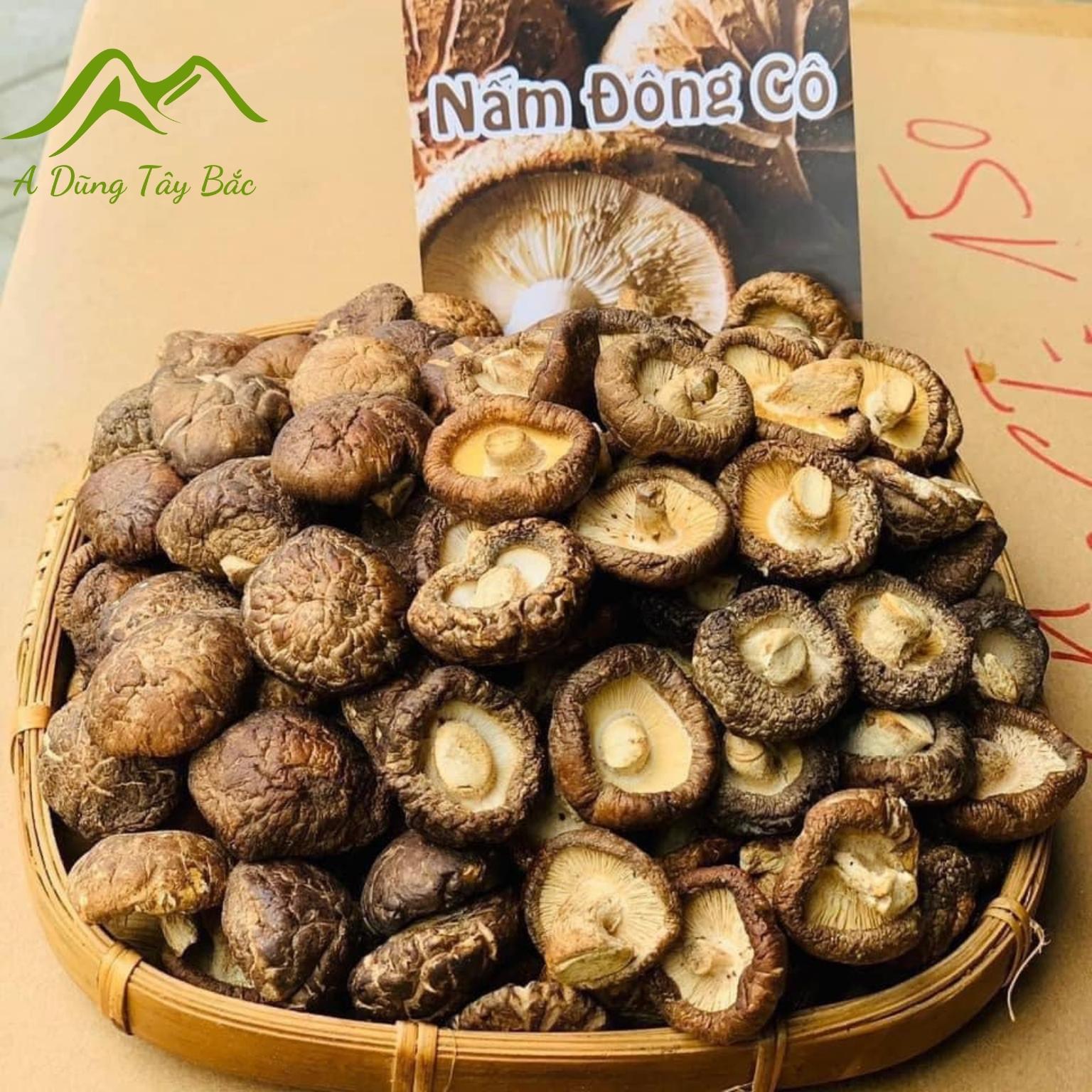 Nấm hương rừng Tây Bắc - quà tặng từ thiên nhiên Nấm hương rừng Tây Bắc - quà tặng từ thiên nhiên