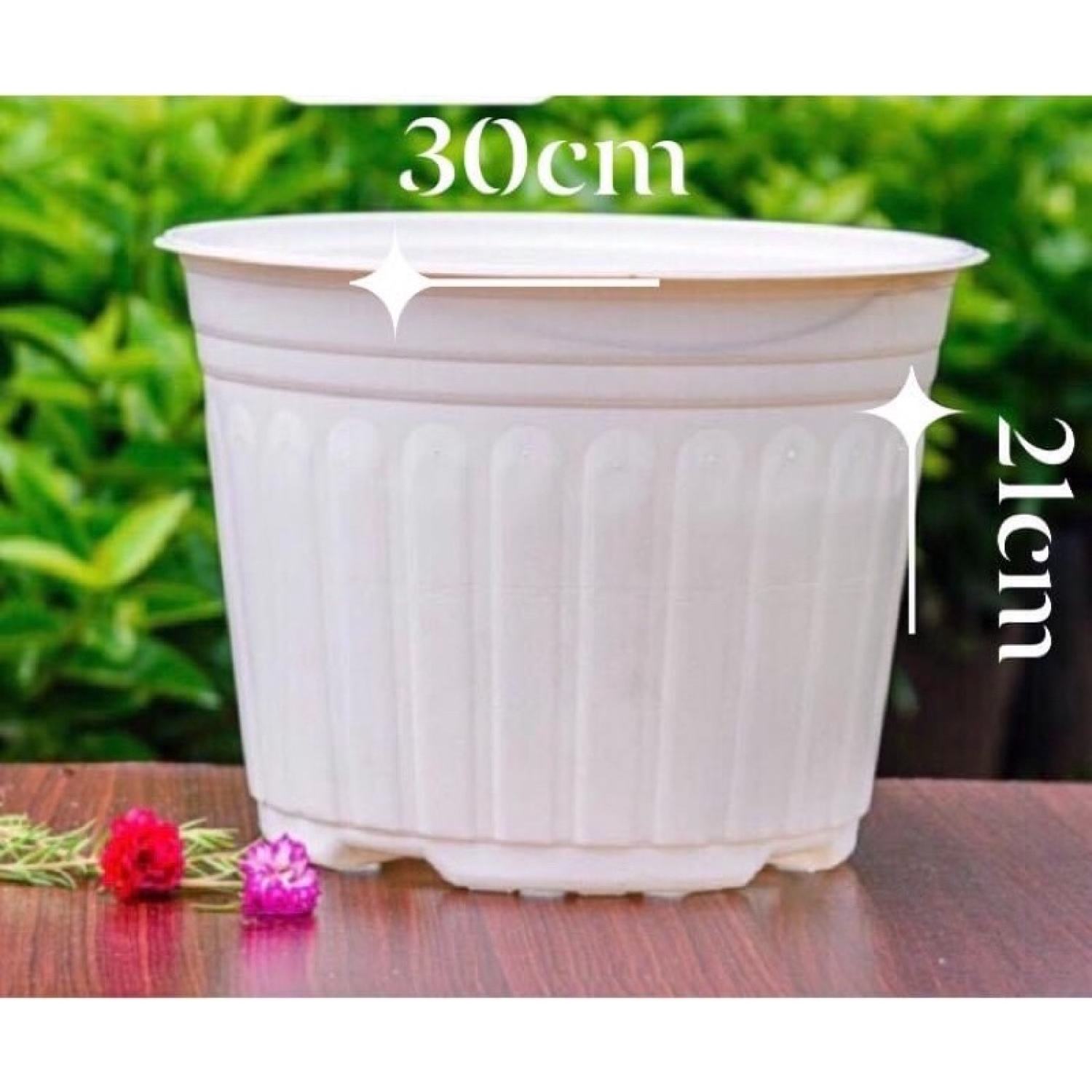 Chậu nhựa Trắng T30 trồng cây, trồng hoa Nhựa cao cấp