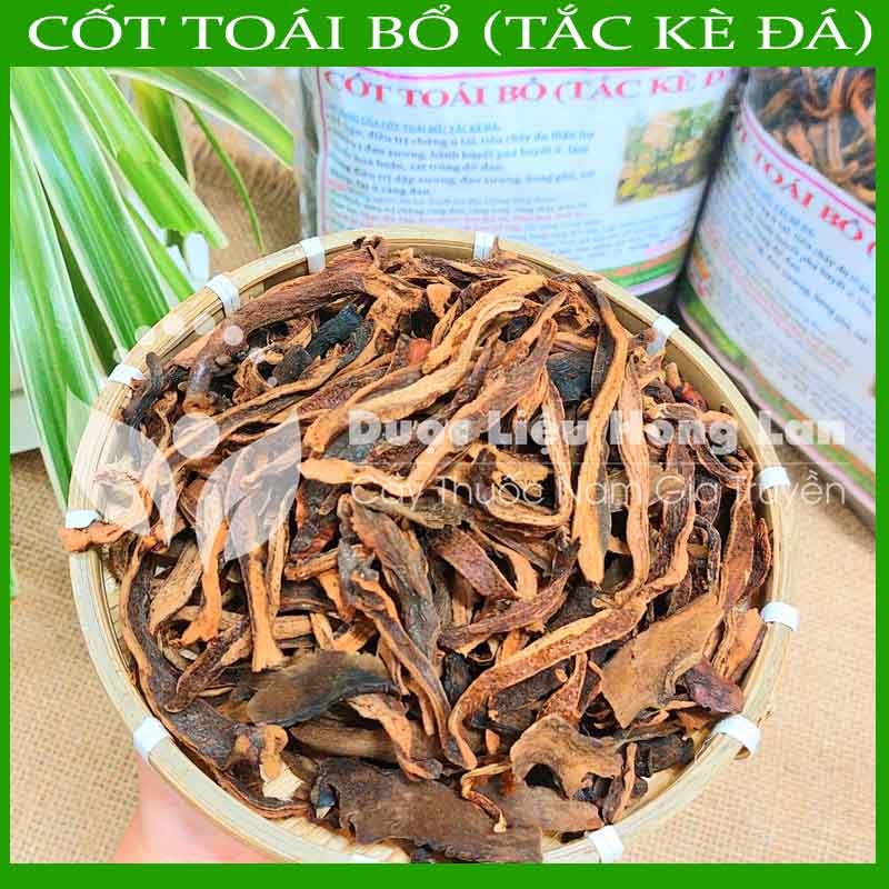Cây tắc k.è đá khô đóng gói 1kg - duoclieuhonglan