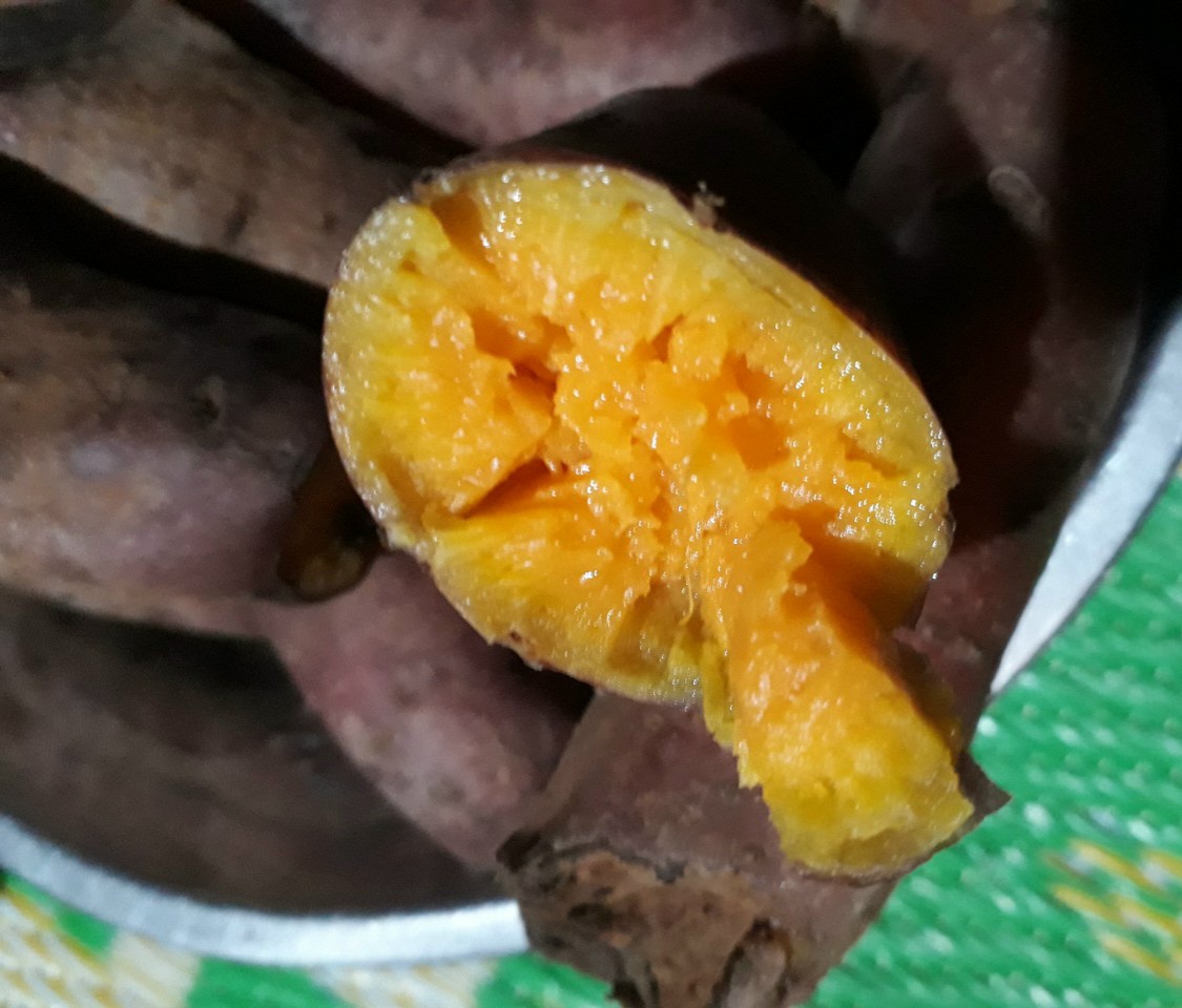 Combo 2 ký khoai lang mật tà nung size nhỏ - hâp luộc là ngon nhất