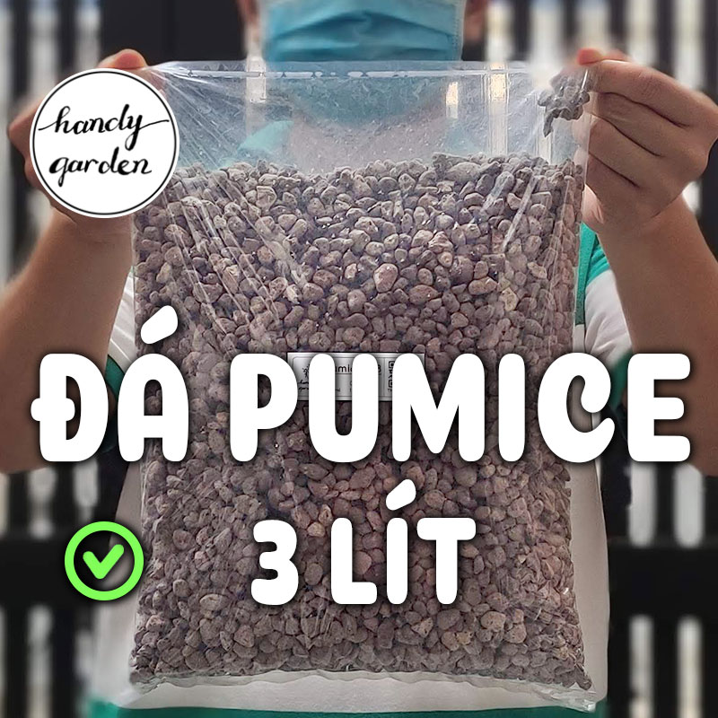 3 Lít đá Pumice Indonesia Premium, khoảng 1.4kg đến 2kg đá bọt, đá lông vũ trộn đất trồng sen đá, xương rồng, hoa hồng, kiểng lá, độn lót đáy chậu, rải mặt chậu | HandyGarden
