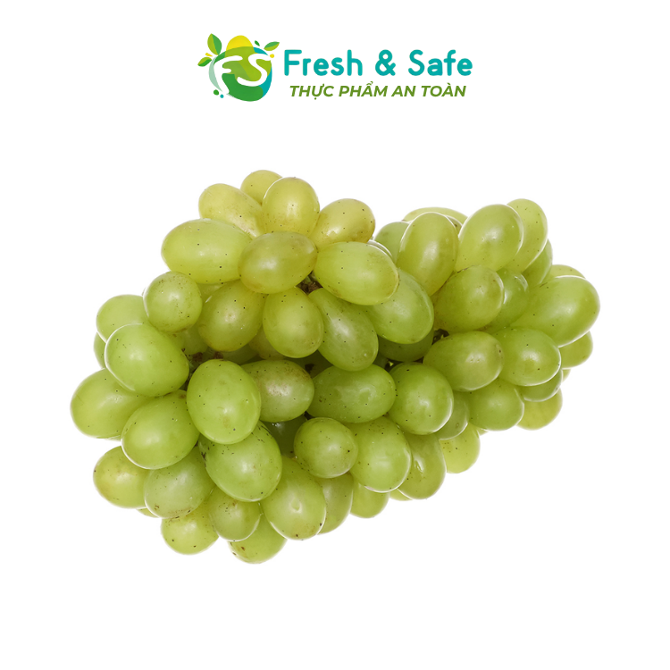 [HOẢ TỐC HCM] Nho xanh Ninh Thuận - 500g