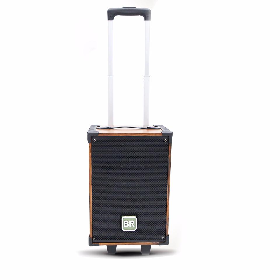 Loa kéo bradwell a842 bảo hành 2 năm