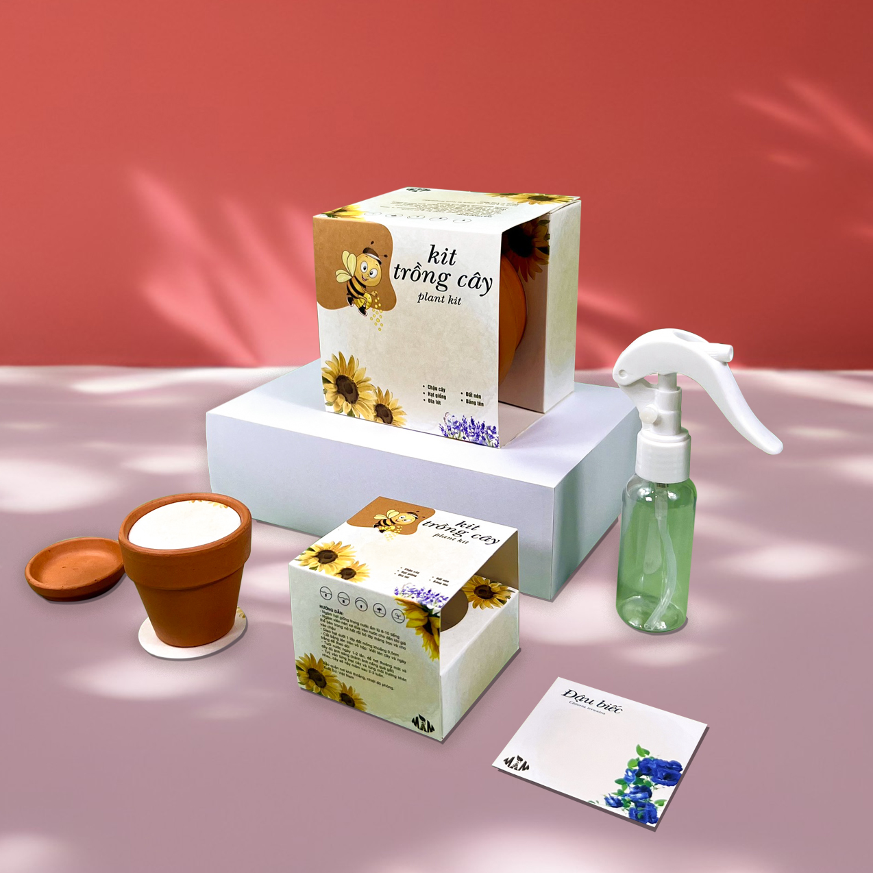 Kit trồng cây mini - bộ trồng cây hạt giống hoa đậu biếc | plant kit - butterfly blue pea mầm xinh