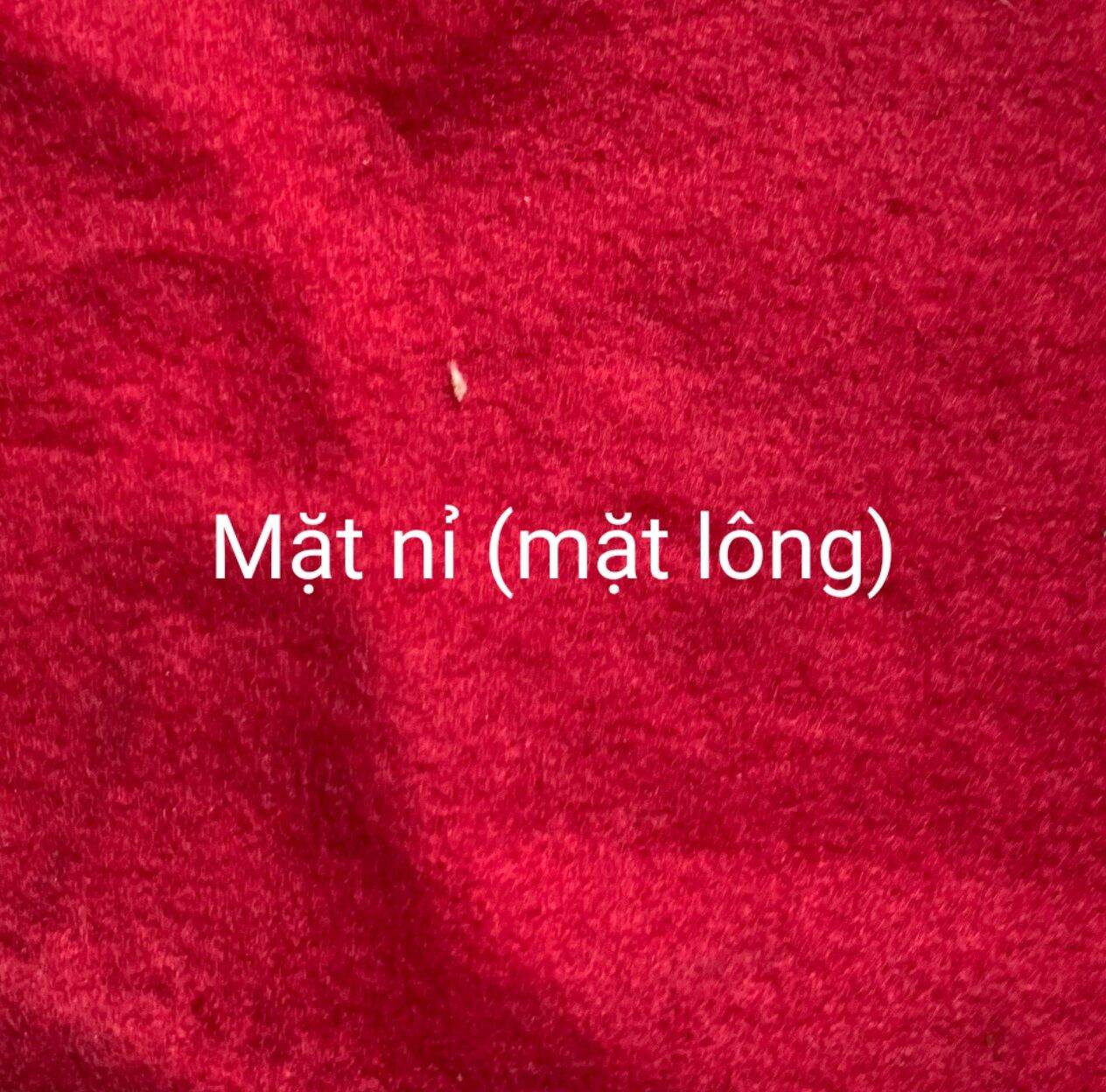 Vải thun nỉ dầy, 1 mặt lông, màu Đỏ (dài 1m * khổ 1m6)