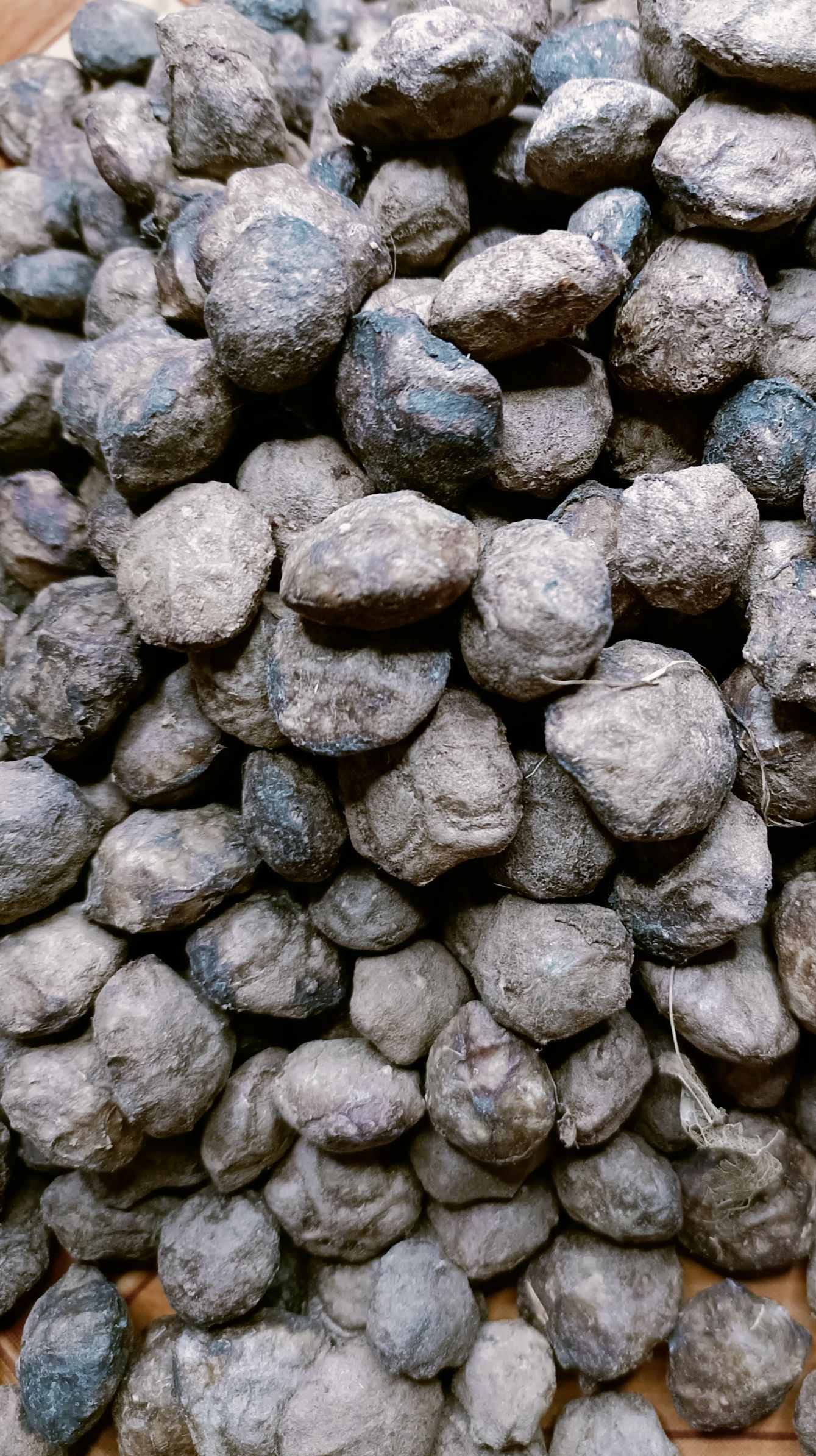 500 gram hạt giống cây sấu