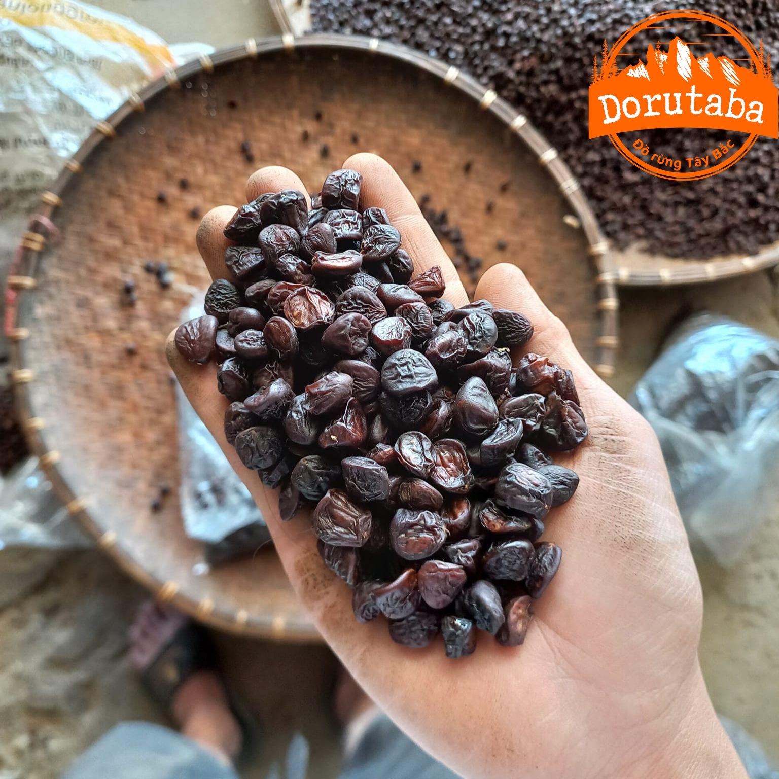 Hạt dổi nếp rừng tây bắc lᴏại 1, gói 50g 150 hạt, gói 100g 300 hạt. gia vị mắc khén xay, hạt dổi, hạt dỗi, hạt rổi 1kg
