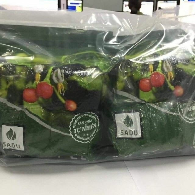 Trà Túi Lọc Cà Gai Leo Sadu Hút Chân Không  Giúp Mát Gan I Tăng Cường Chức Năng Gan Bịch 1kg Gồm 200 Túi Lọc