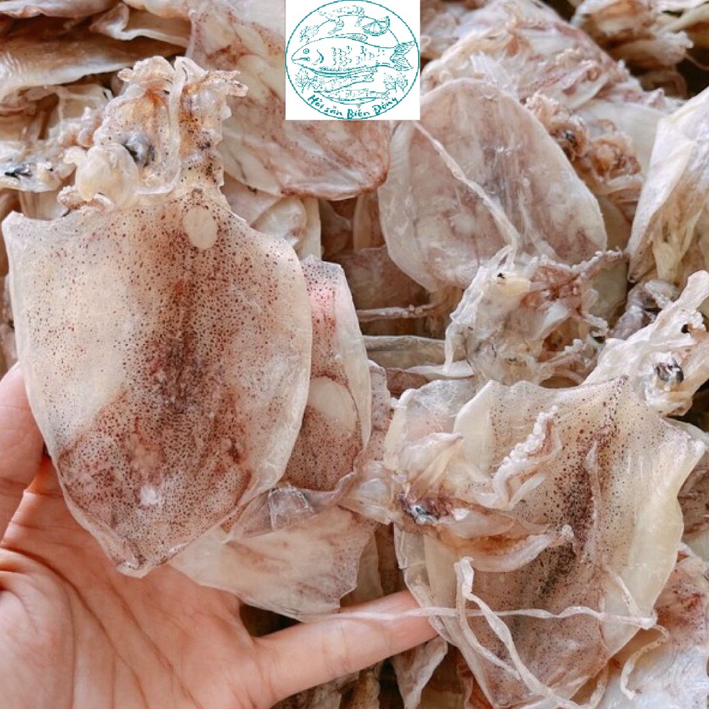 COMBO 20 CON MỰC KHÔ ĐỒNG TIỀN – KHÔ MỰC SIZE MINI - SIZE 120 CON/KG [Giao hàng siêu tốc TPHCM 1-2 giờ]