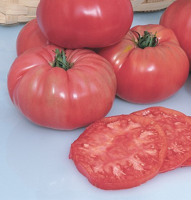 Hạt giống cà chua beef đỏ Brandywine - 1 trong nhưng giống cà chua múi ngon nhất