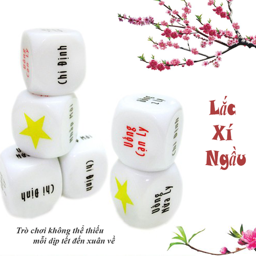 SÉT 5 VIÊN XÍ NGẦU VUI NHỘN XÍ NGẦU UỐNG BIA ĂN NHÂU - TRÒ CHƠI GIẢI TRÍ TẾT 2021 XÍ NGẦU GIẢM STRESS (5 VIÊN)