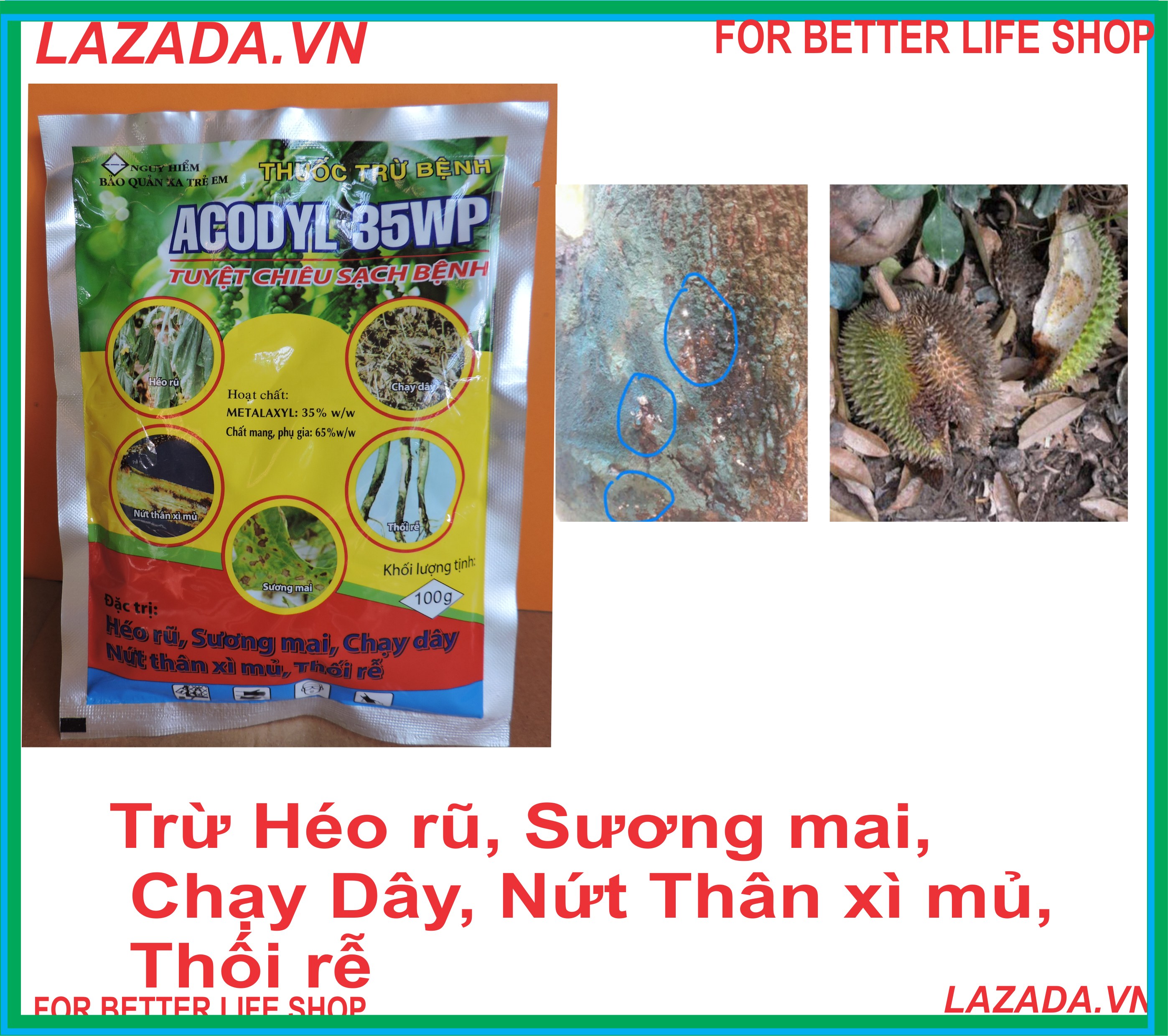 Trừ Nứt Thân xì mủ, Chạy dây, Sương mai, Thối rễ Trên Cây trồng ACODYL 35WP 100gr