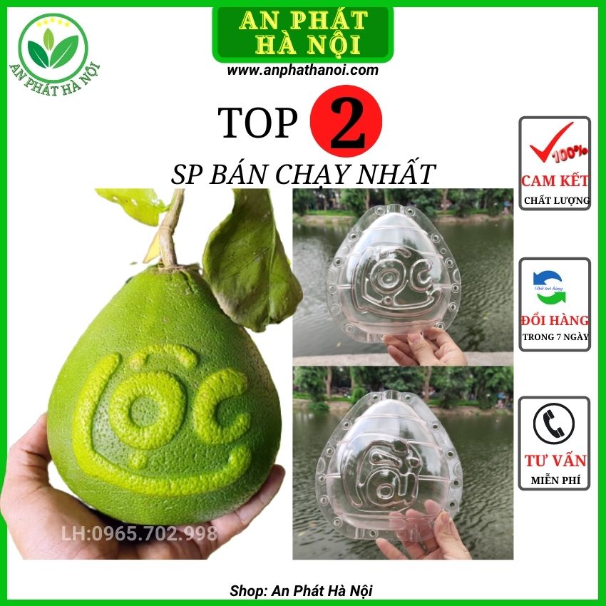 [Loại đẹp, dày 4,5 li] Khuôn Bưởi hình Giọt Nước Đẹp – Khuôn Tạo Hình Trái Cây TÀI LỘC dùng cho bưởi, dưa hấu, dưa vàng, đào tiên 1-1,6kg loại dày, bền 3-4 vụ shop AN PHÁT HÀ NỘI
