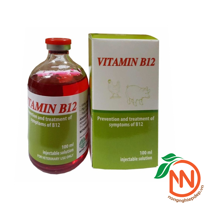 Vitamin b12 | giải độc cho cây