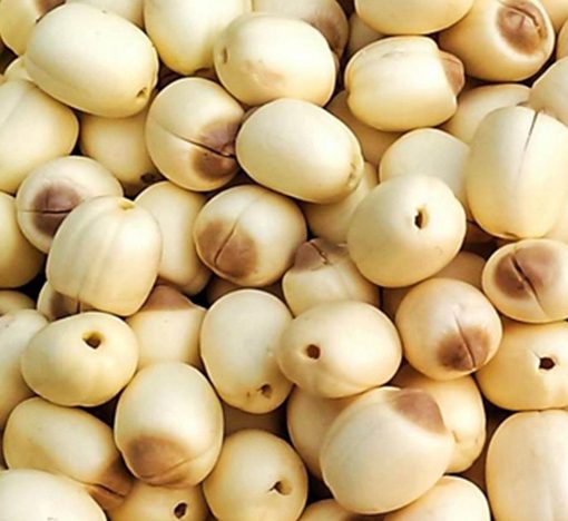 [HCM]Hạt sen sấy khô loại 1 nguyên chất từ thiên nhiên 1kg | Tâm Anh Store