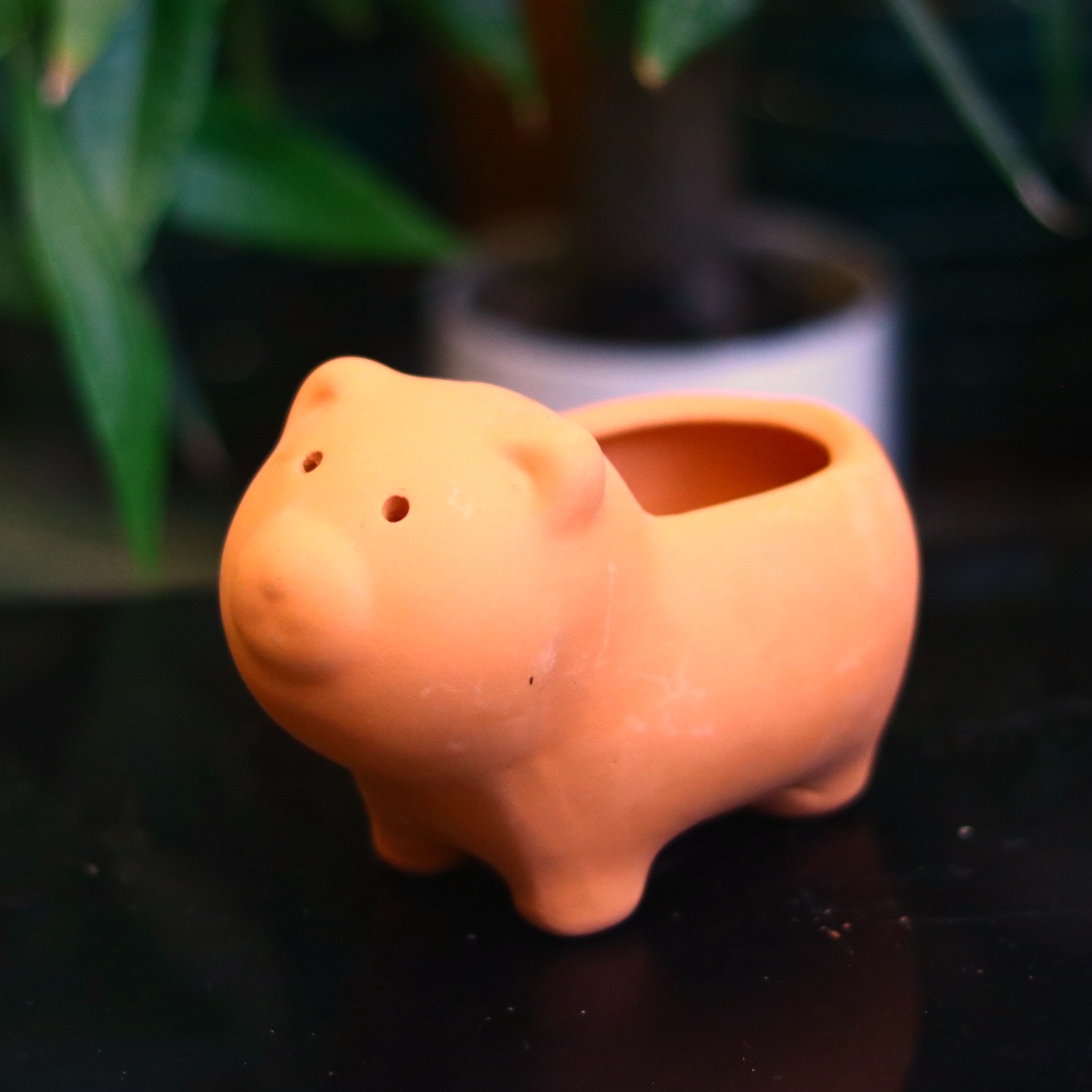 [HCM]Chậu đất nung hình thú trồng cây hoa kiểng sen đá xương rông cây may mắn cây mini