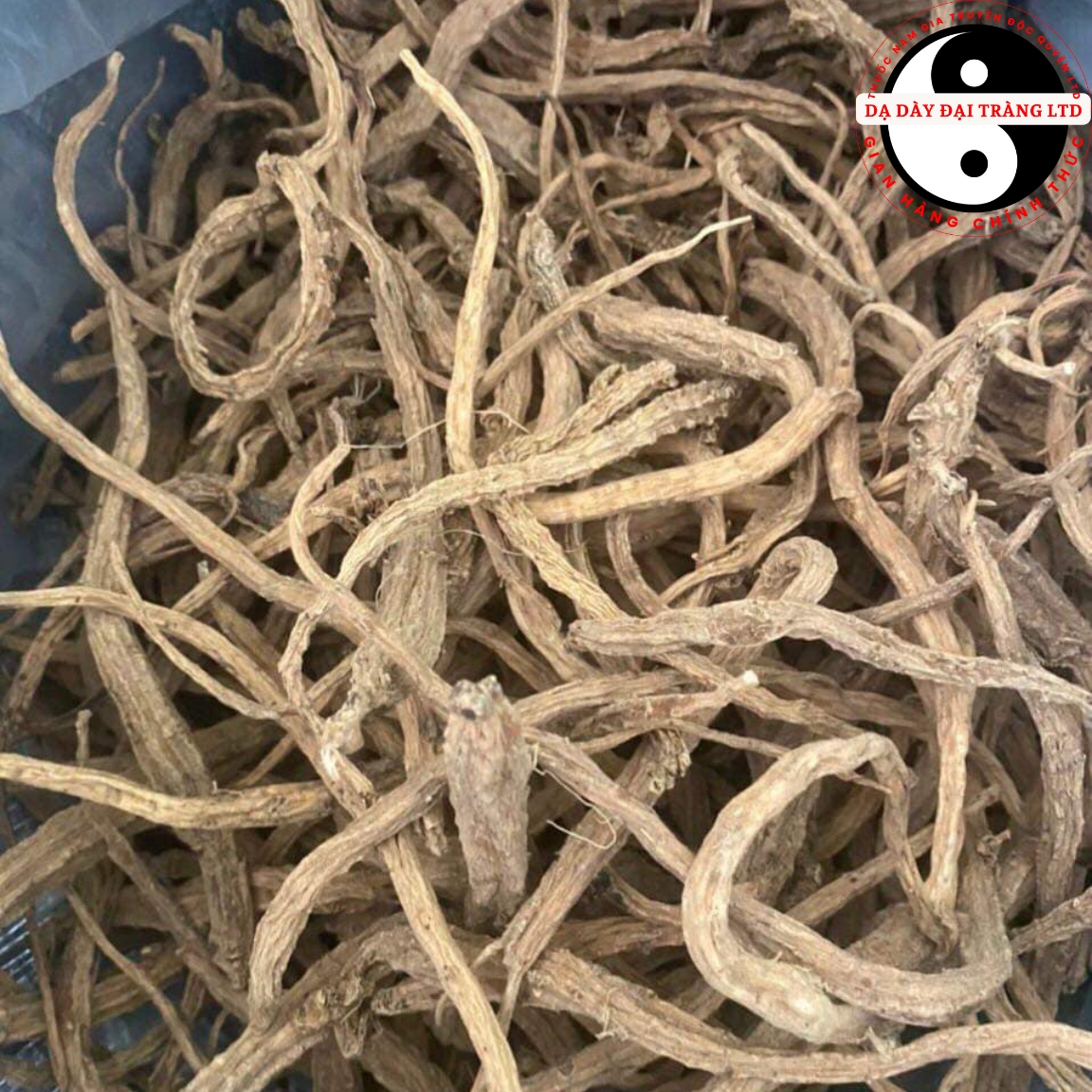 Đẳng sâm khô rừng Tây Bắc sấy khô từ củ đẳng sâm tươi loại 1 giúp tăng cường miễn dịch, ích khí, kiện tỳ