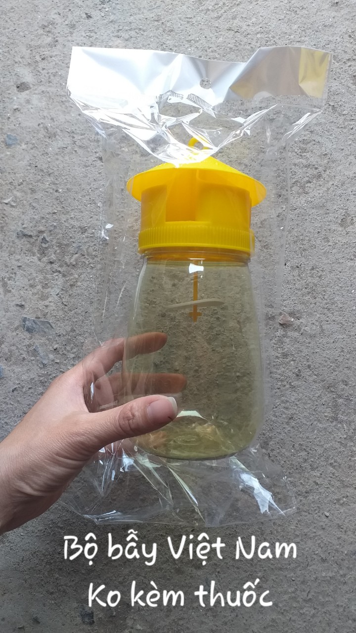 Lồng bẫy ruồi vàng Việt Nam - hũ bắt côn trùng - bẫy ruồi vàng