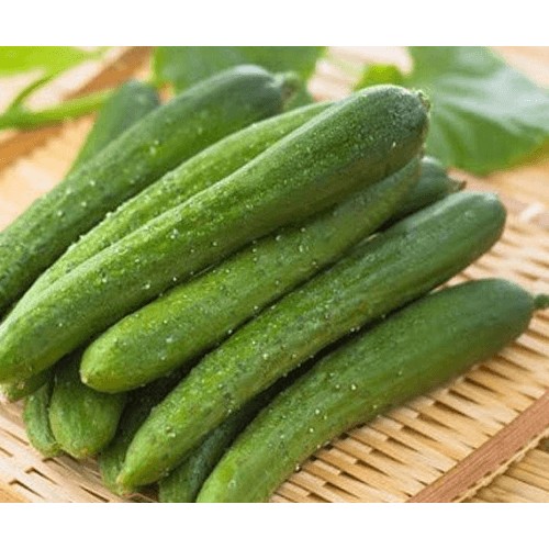 Hạt Giống Dưa Chuột Nếp Thơm