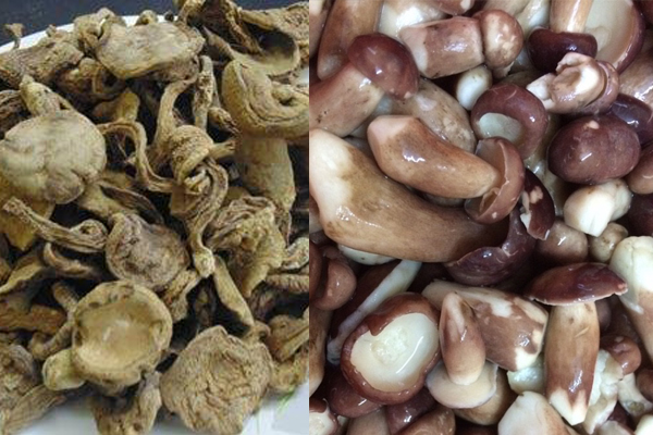 100g nấm tràm khô  nau sao