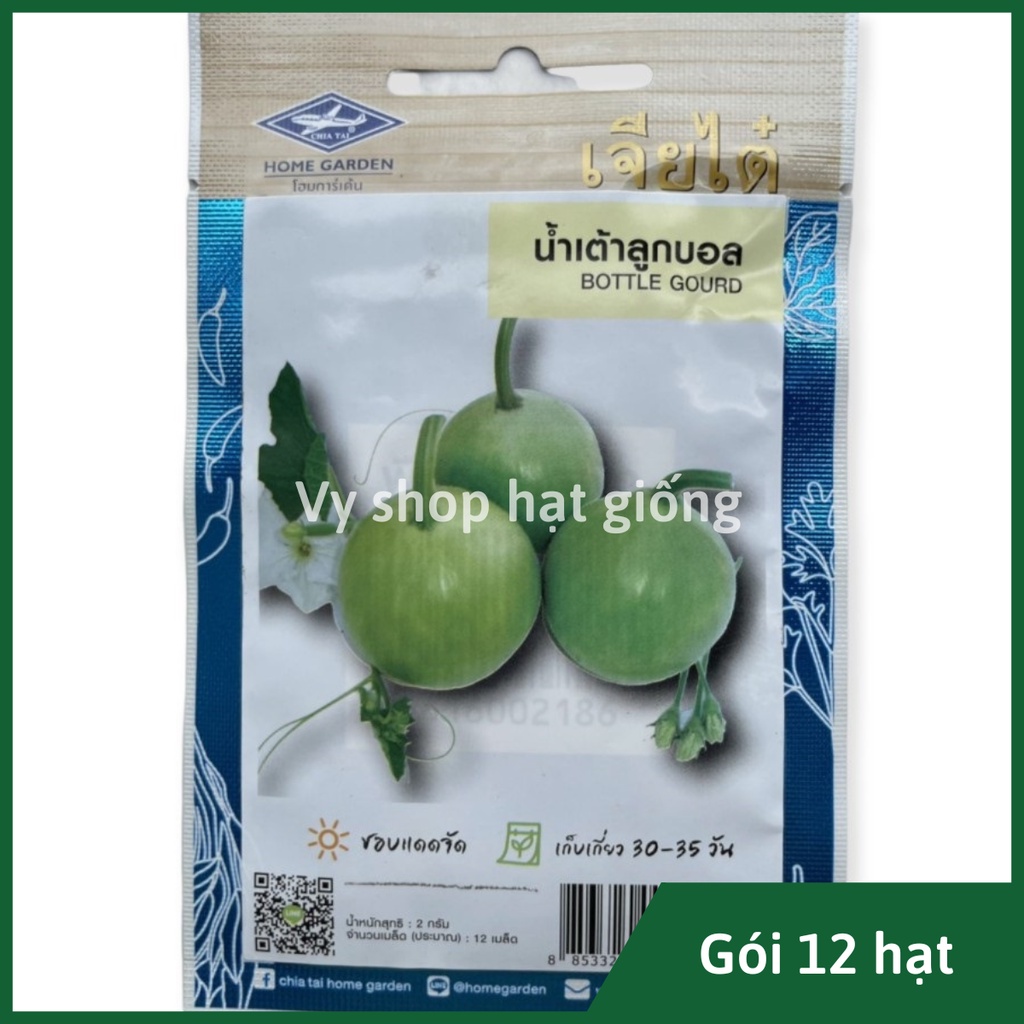 Hạt giống bầu táo tròn Thái Lan gói 12 hạt