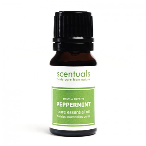 Tinh dầu bạc hà – 100% Pure Peppermint Essential Oil 10ml Sản phẩm cùng loại