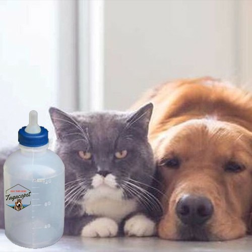 Bình ti sữa 50ml dành cho nhà đông con đây, được làm từ chất liệu an toàn, không chứa chất độc hại