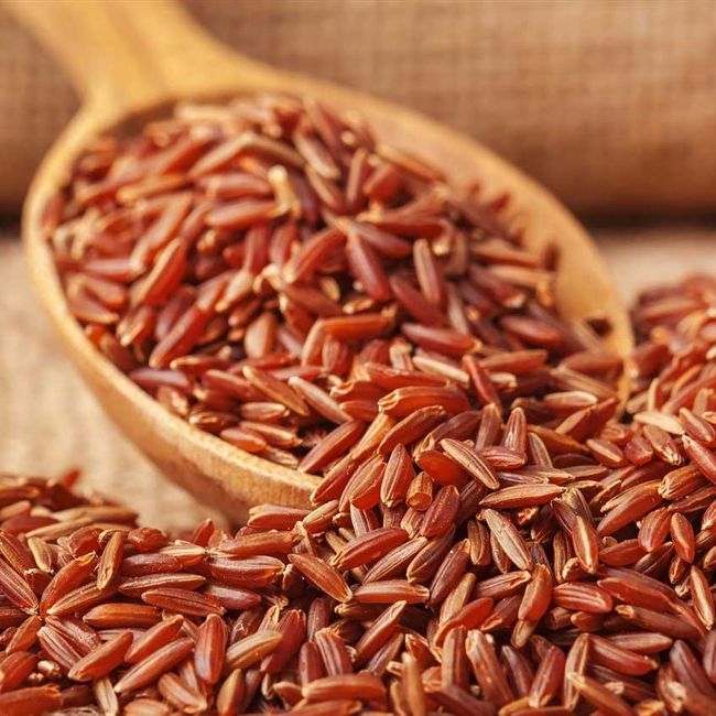 Gạo Lứt Đỏ / Gạo Lứt Huyết Rồng Điện Biên [1KG] - CANIFOOD